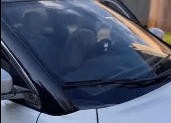 Já tratei minha Nora muito mal várias vezes,mas hoje me arrependo porque quando mais precisei foi ela quem me ajudou parte 2