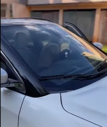 Já tratei minha Nora muito mal várias vezes,mas hoje me arrependo porque quando mais precisei foi ela quem me ajudou parte 2