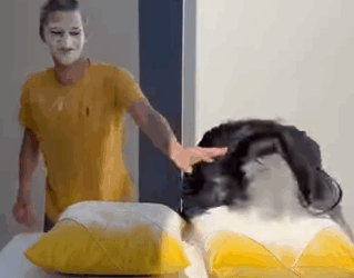 Quiz da farinha trimmed parte 2