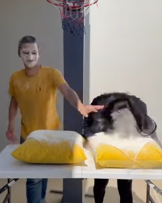 Quiz da farinha trimmed parte 2