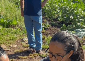 Estenda sempre um ombro amigo ao próximo! parte 2